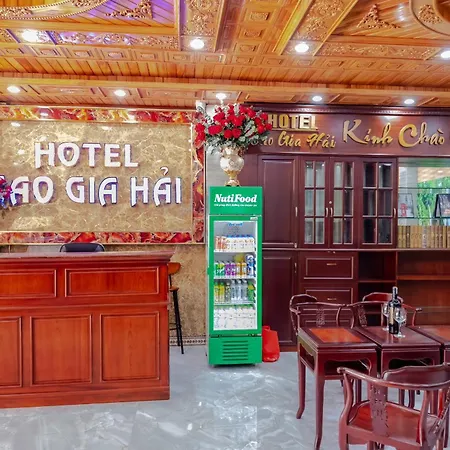Cao Gia Hải-3